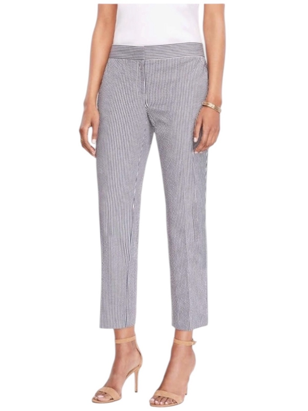 Ann Taylor Petites Pinstripe Ankle Pants EUC